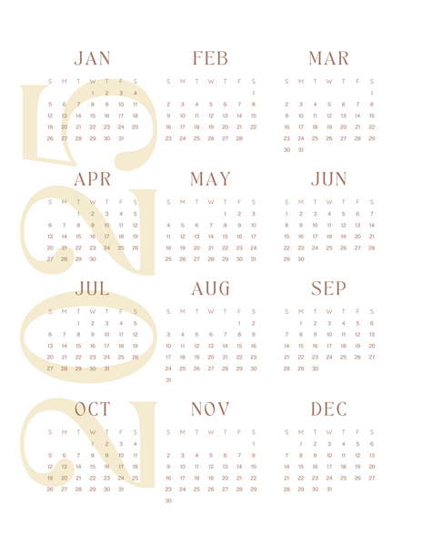 2025 Planner--[60 pages]