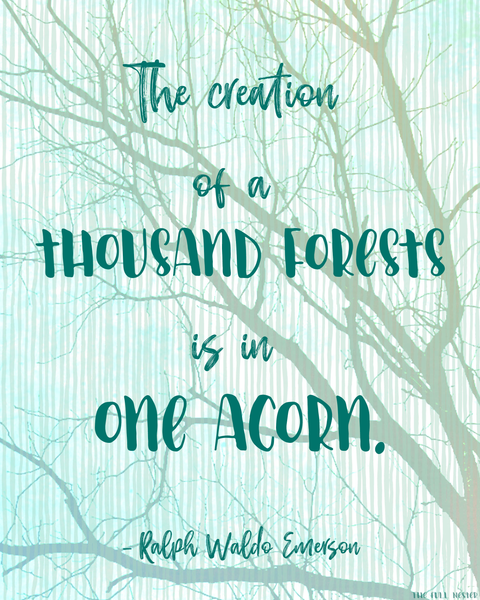 A Thousand Forests printable