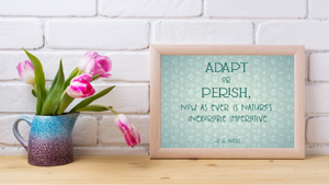 Adapt or Perish printable