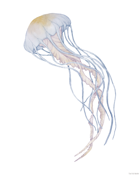 Jellyfish Wall Art