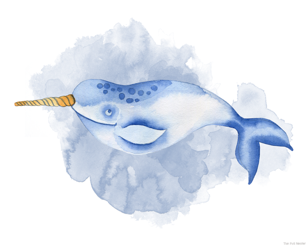 Narwhal Wall Art