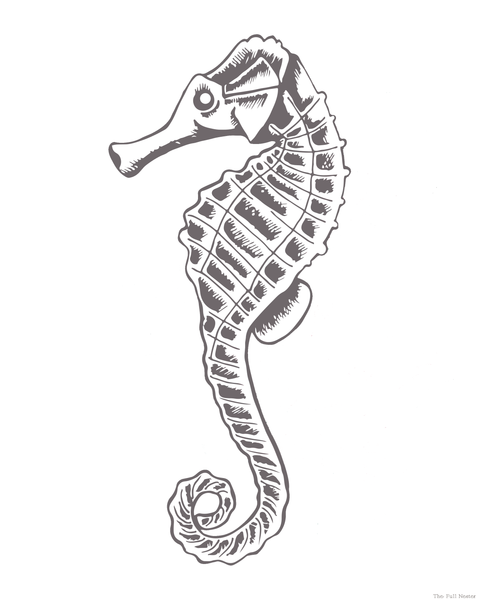 Seahorse Wall Art