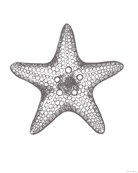 Starfish Wall Art