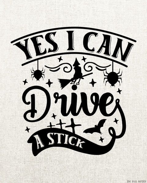 Yes I Can Drive a Stick printable