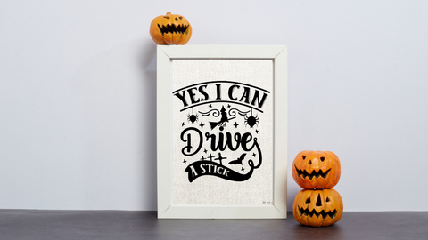 Yes I Can Drive a Stick printable