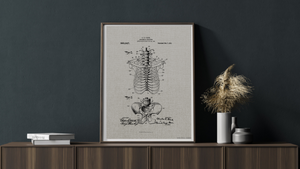 1911 Anatomical Skeleton Patent Drawing
