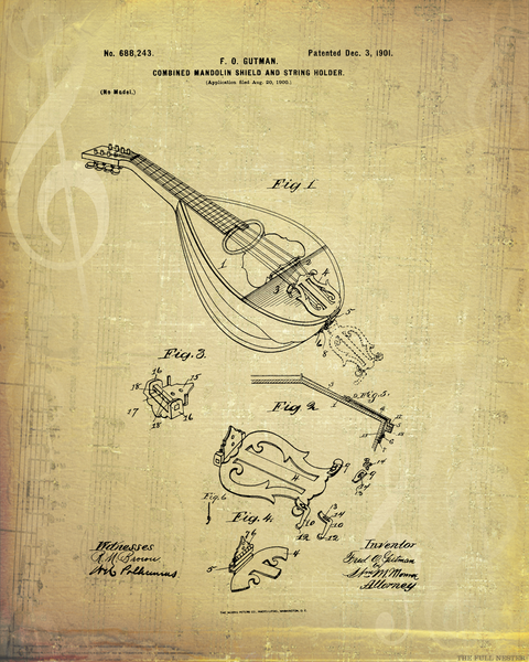 1901 Mandolin Patent Drawing