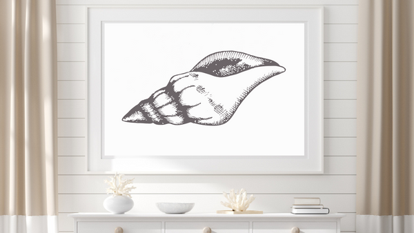 Seashell Wall Art