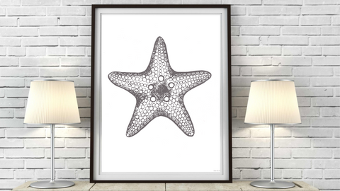 Starfish Wall Art